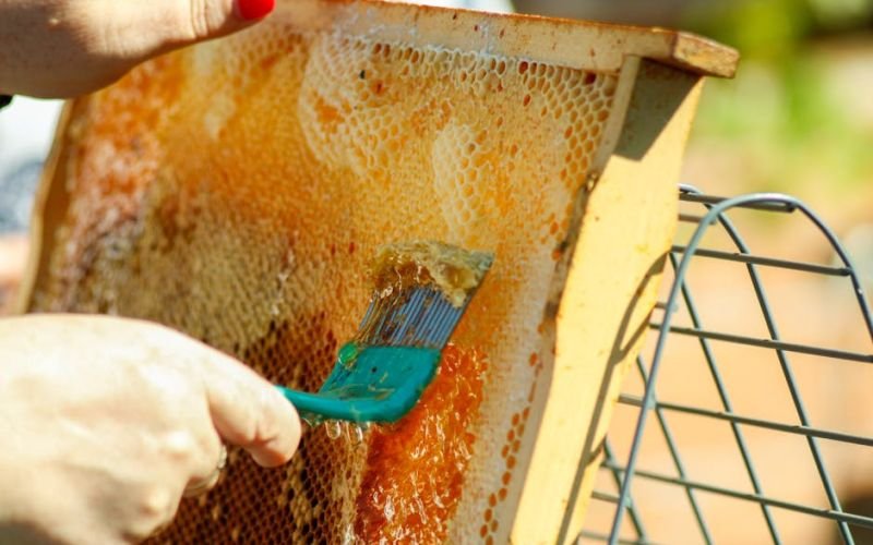 Close-up of honey dripping from a wooden spoon, showcasing its rich texture and color.