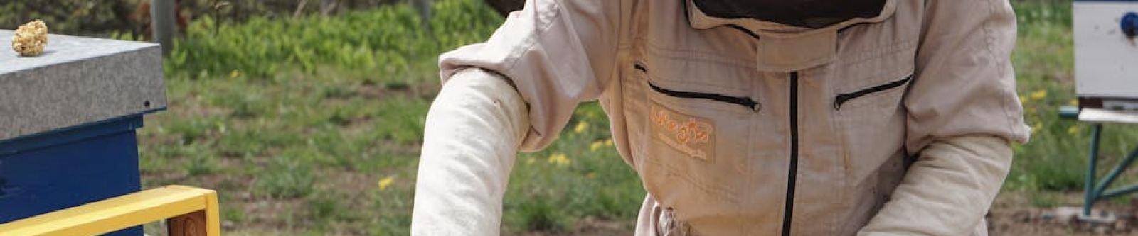 How Local Climate Affects Honey Harvest in North Texas