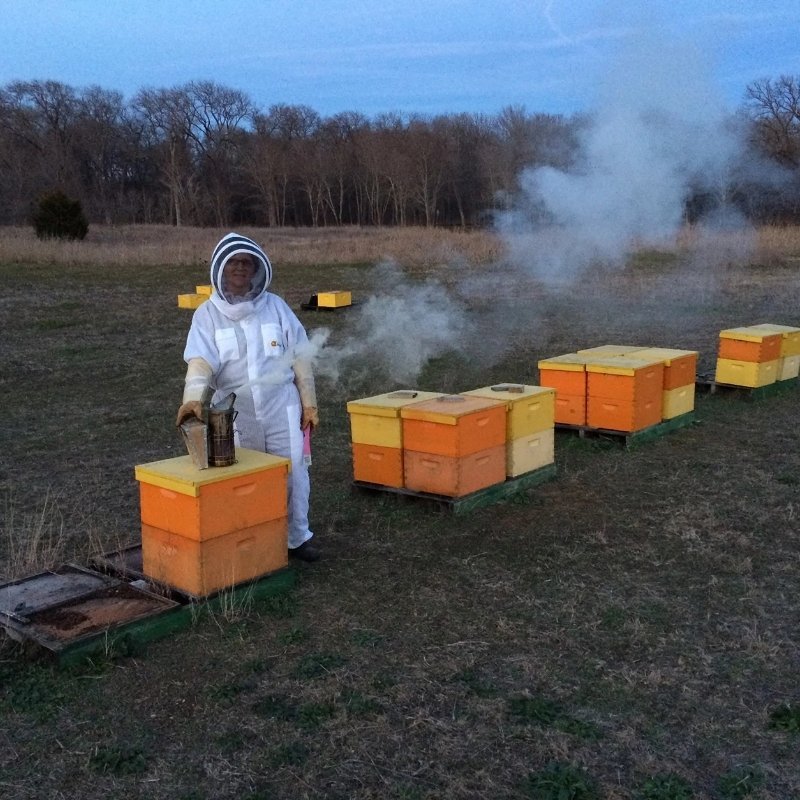 Lisa smoking the bees to keep them calm