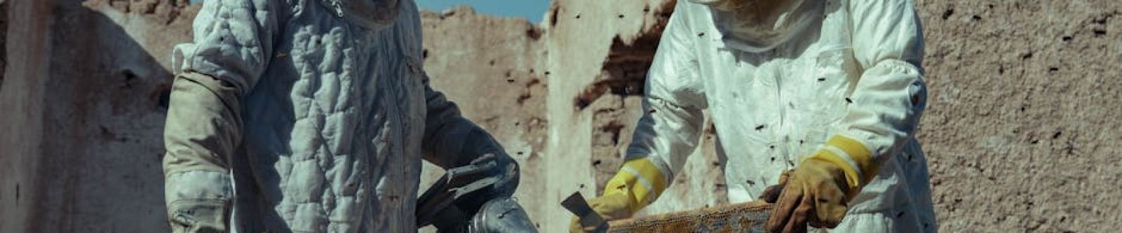 Raw Honey: Get More Energy (Just Like Ancient Greek Athletes Did!)