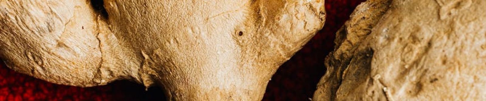 Honey & Ginger: Natural Immunity & Digestion Boost - Crooked Creek Honey Farm