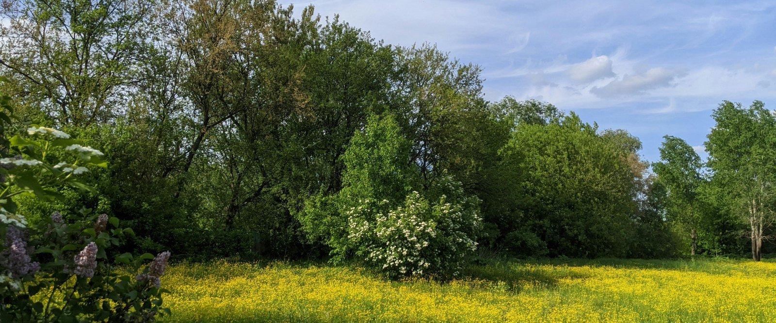 Spring Is The Perfect Season For Raw Local Honey