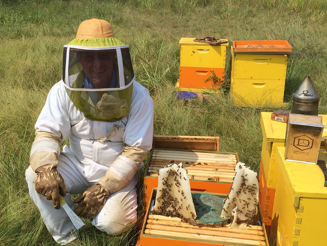 The Importance Of Building a Pollinator-Friendly Garden